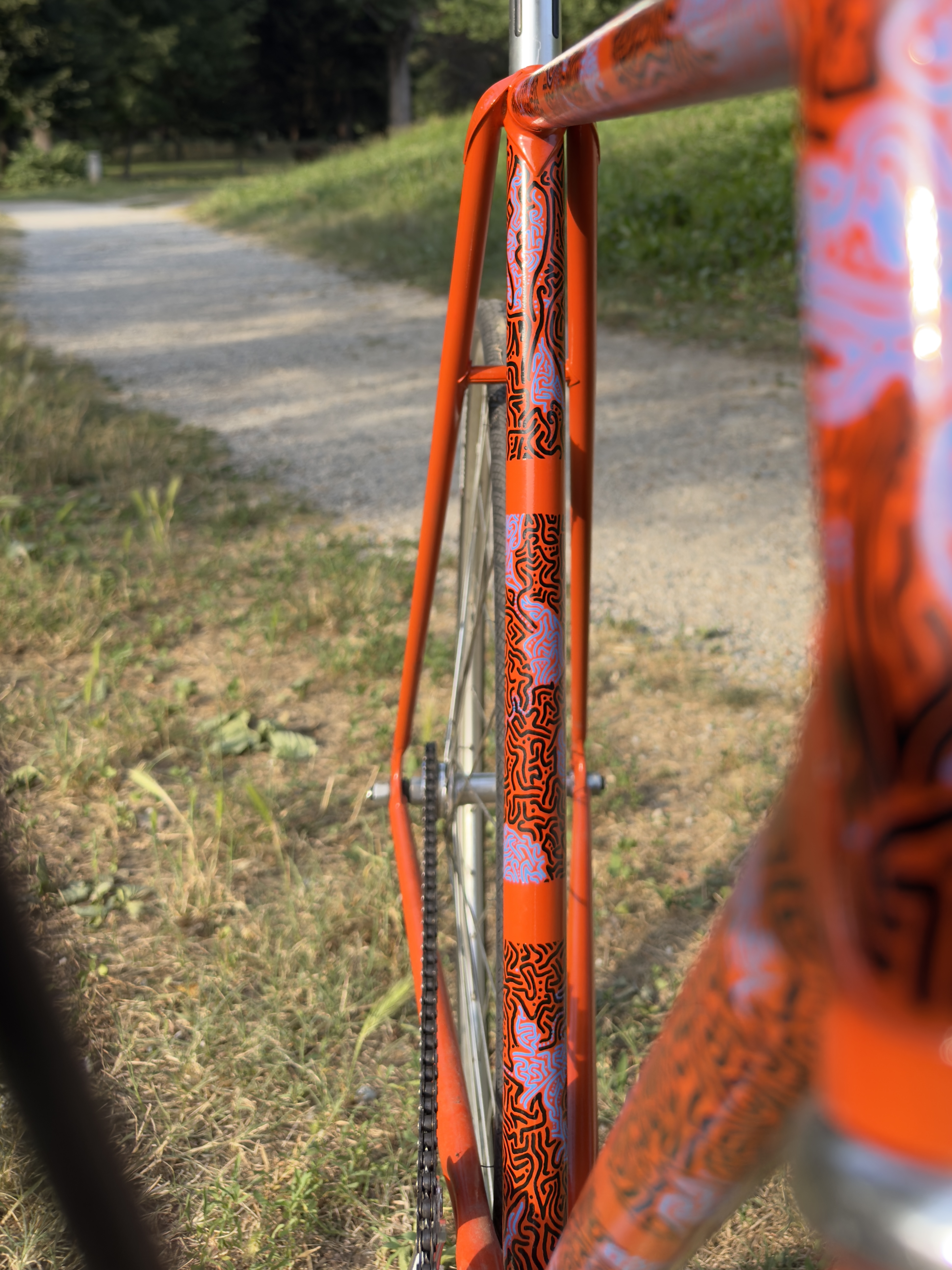 View through the bicycle frame showing painted linework and a park path